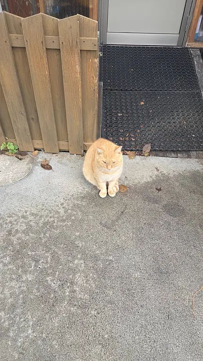 Kukka with Flower&Cafe