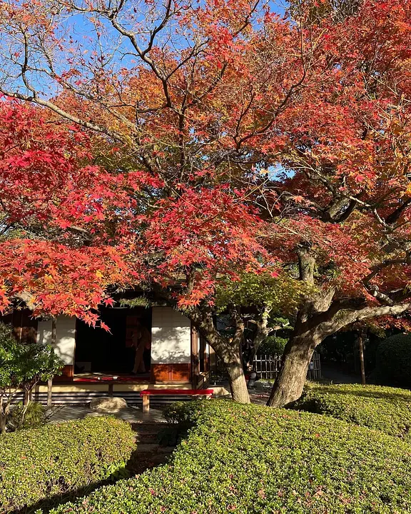 のんびりと秋散策　松風園からスタート　