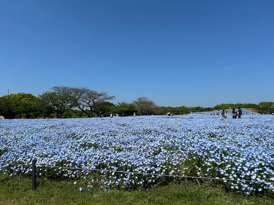 海の中道海浜公園