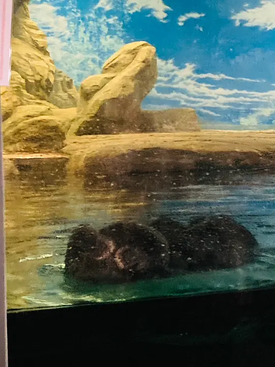 マリンワールド海の中道